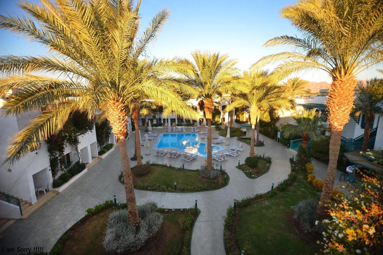 Falcon Hills Hotel Sharm El-Sheikh Exterior foto